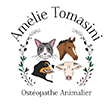 amelietomasini
